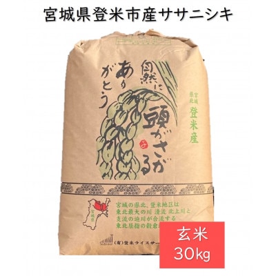 令和6年産　宮城県登米市産ササニシキ(玄米)30kg【1139102】