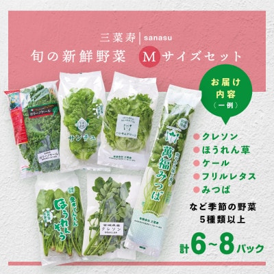 旬の新鮮野菜セット Mサイズ(5種類以上/6〜8パック)【配送不可地域：離島】【1556527】