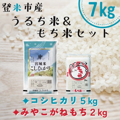 宮城県登米市産コシヒカリ5kg・みやこがねもち2kgセット(計7kg)【1725709】
