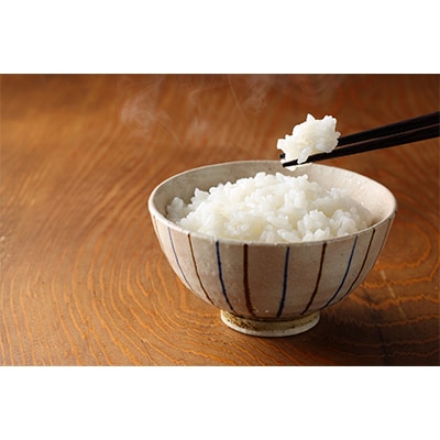 【2ヵ月毎定期便】登米市産ササニシキ精米5kg全6回【4007750】