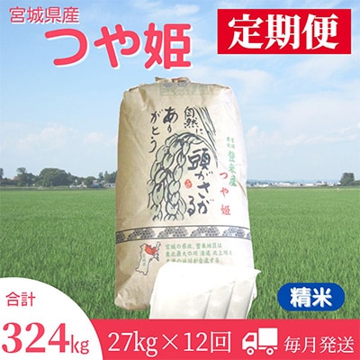 2024年1月発送開始『定期便』宮城県登米市産つや姫(精米)27kg　全12回【5146859】