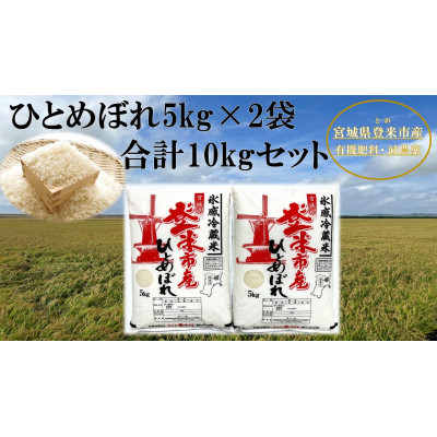 【新米】令和6年宮城県登米市産「ひとめぼれ」5kg×2袋 合計10kgセット【1379066】