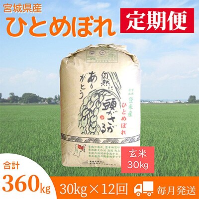 2023年9月発送開始『定期便』宮城県登米市産ひとめぼれ(玄米)30kg全12回【5146690】