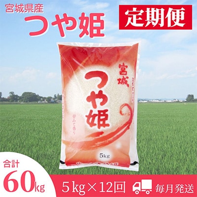 2023年9月発送開始『定期便』宮城県登米市産つや姫精米5kg　全12回【5147025】