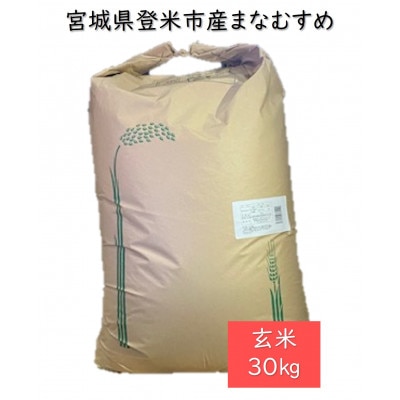 令和4年産　宮城県登米市産まなむすめ(玄米)30kg【1261116】