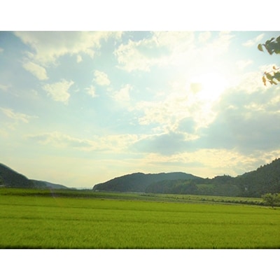 『つやま産直発!ときめきパック』　季節の野菜と加工品のセット【配送不可地域：離島】【1075801】