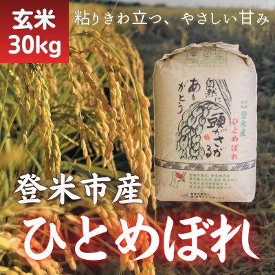 令和7年産　宮城県登米市産ひとめぼれ(玄米)30kg【1139100】