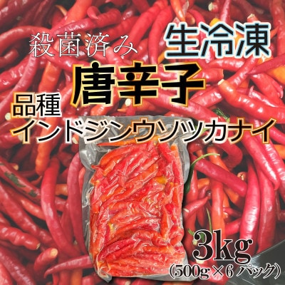 宮城県登米市の自社農園で大切に育てました 唐辛子　品種インドジンウソツカナイ 3kg　殺菌後急速冷凍【配送不可地域：離島】【1585374】