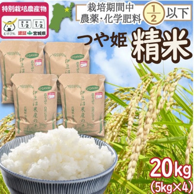 特別栽培米 つや姫 精米20kg(5kg×4) 宮城県登米市産【令和6年産】白米【1549302】