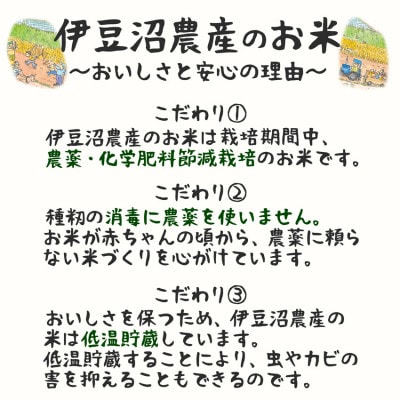 特別栽培米 つや姫 精米5kg 宮城県登米市産【令和6年度産】白米【1549299】