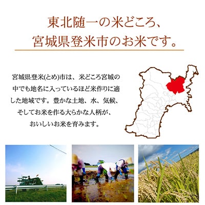 2023年10月発送開始『定期便』宮城県登米市産ひとめぼれ(精米)27kg(隔月)全6回【5146727】