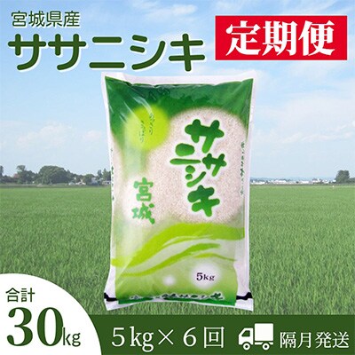 2023年12月発送開始『定期便』宮城県登米市産ササニシキ精米5kg(隔月)　全6回【5146846】