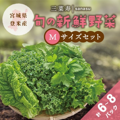 旬の新鮮野菜セット Mサイズ(5種類以上/6〜8パック)【配送不可地域：離島】【1556527】