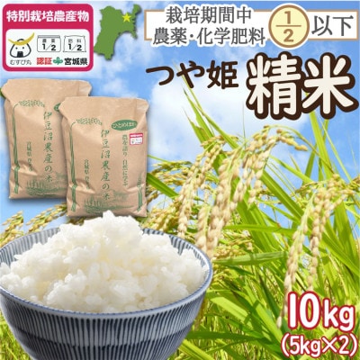 特別栽培米 つや姫 精米10kg(5kg×2) 宮城県登米市産【令和6年産】白米【1549301】