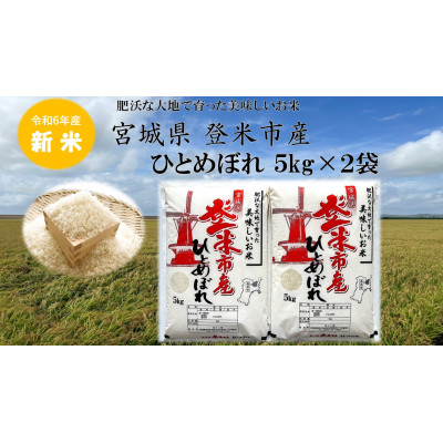 【新米】令和6年宮城県登米市産「ひとめぼれ」5kg×2袋 合計10kgセット【1379066】