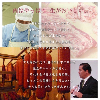 【伊豆沼ハム】生ハムブロックと生サラミ原木のセット【配送不可地域：離島】【1646204】