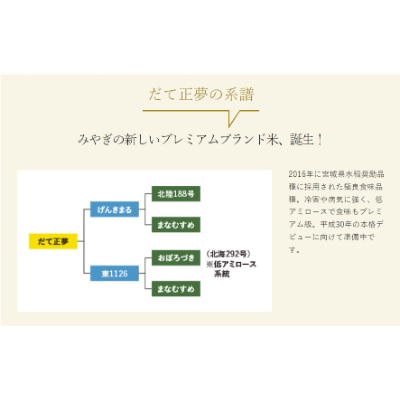 【家庭応援セット】宮城県登米市産だて正夢(精米)2kg & まなむすめ(精米)5kg×2袋【1261094】