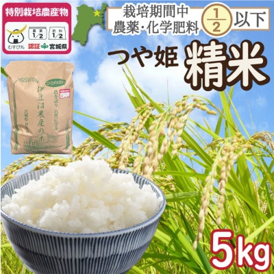 特別栽培米 つや姫 精米5kg 宮城県登米市産【令和6年度産】白米【1549299】