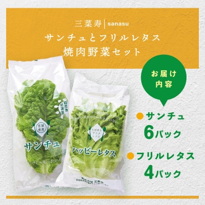 サンチュ(6パック)とフリルレタス(4パック)の焼肉野菜セット【配送不可地域：離島】【1556523】