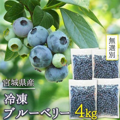 訳あり 無選別 冷凍ブルーベリー 4kg【配送不可地域：離島】【1646071】
