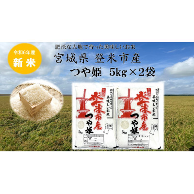 【新米】令和6年宮城県登米市産「つや姫」5kg×2袋 合計10kgセット【1444383】