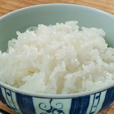 【毎月定期便】宮城県登米市産 ひとめぼれ(精米) 5kg×2袋セット全2回【4083294】