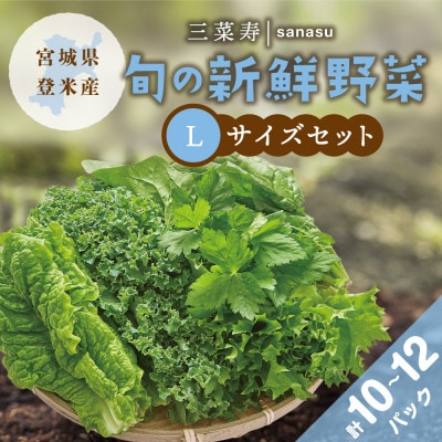 旬の新鮮野菜セット Lサイズ(5種類以上/10〜12パック)【配送不可地域：離島】【1556532】