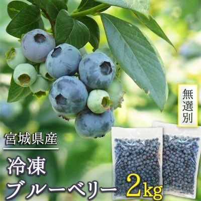 訳あり 無選別 冷凍ブルーベリー 2kg【配送不可地域：離島】【1646070】