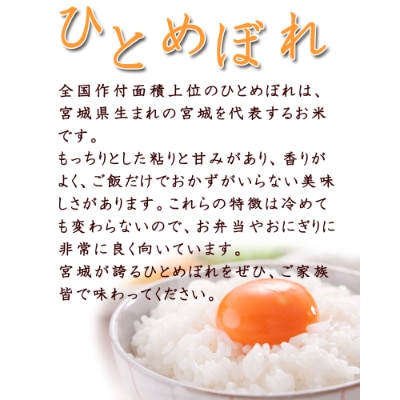 令和5年産　宮城県登米市産　食べ比べセット10kg(ひとめぼれ・ササニシキ 精米 各5kg)【1261130】