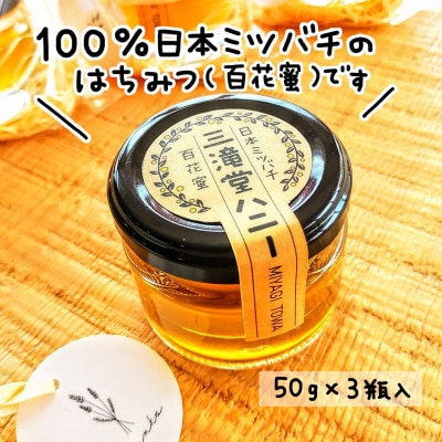 日本ミツバチ100%はちみつ【三滝堂ハニー】50g×3瓶【1368857】