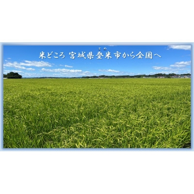 【精米】令和7年宮城県登米市産「ササニシキ」5kg×2袋 合計10kgセット【1674242】