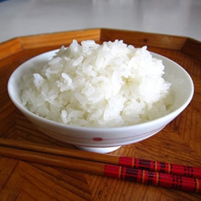 【毎月定期便】宮城県登米市産 つや姫(精米) 5kg×2袋セット全4回【4085924】
