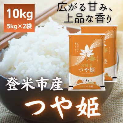 令和7年産　宮城県登米市産つや姫(精米)5kg×2袋セット【1139098】