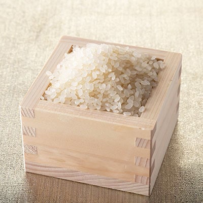 【毎月定期便】宮城県登米市産 ひとめぼれ(精米) 5kg×2袋セット全3回【4083293】