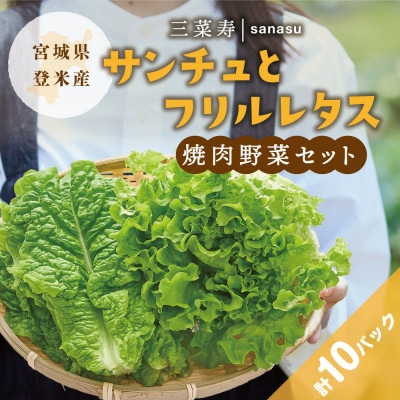 サンチュ(6パック)とフリルレタス(4パック)の焼肉野菜セット【配送不可地域：離島】【1556523】