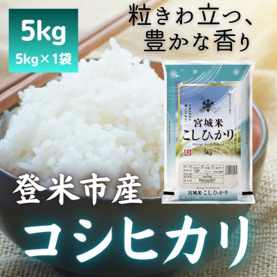 令和7年産　宮城県登米市産コシヒカリ(精米)5kg【1725563】