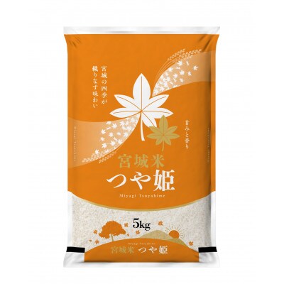 令和7年産　宮城県登米市産つや姫(精米)5kg×2袋セット【1139098】