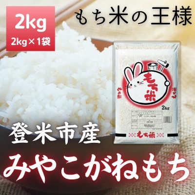 令和7年産　宮城県登米市産みやこがねもち(精米)2kg【1725660】