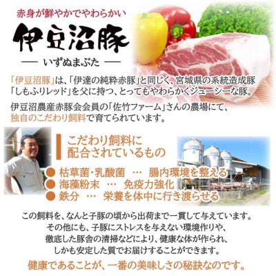 【伊豆沼豚】 豚肉 5種食べ比べセット 小分けパック 合計1.5kg以上【配送不可地域：離島】【1646265】