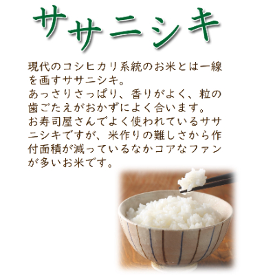 令和6年産　宮城県登米市産　食べ比べセット10kg(ササニシキ・つや姫 精米 各5kg)【1261124】