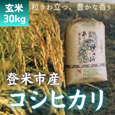 【令和7年産　宮城県登米市産】コシヒカリ(玄米)30kg【1725615】