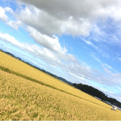 【令和7年産　宮城県登米市産】コシヒカリ(玄米)30kg【1725615】