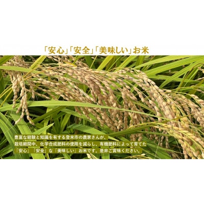 【精米】令和7年宮城県登米市産「ササニシキ」5kg×2袋 合計10kgセット【1674242】