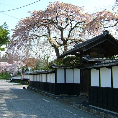 あぶら麸 2本入り6ヶ箱詰め【1045088】