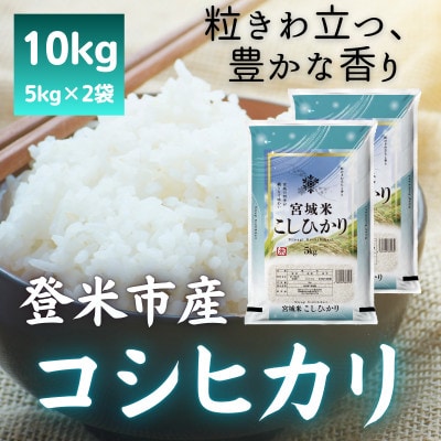 令和7年産　宮城県登米市産コシヒカリ(精米)5kg×2袋セット【1725582】