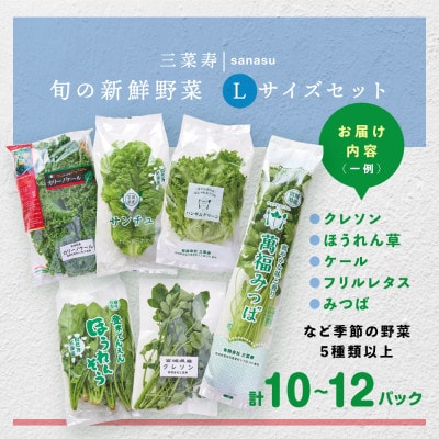 旬の新鮮野菜セット Lサイズ(5種類以上/10〜12パック)【配送不可地域：離島】【1556532】