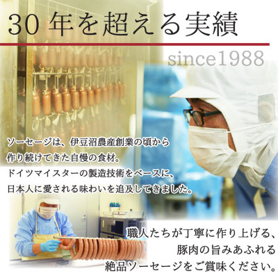 【伊豆沼ハム】ソーセージ彩りセット【配送不可地域：離島】【1045101】