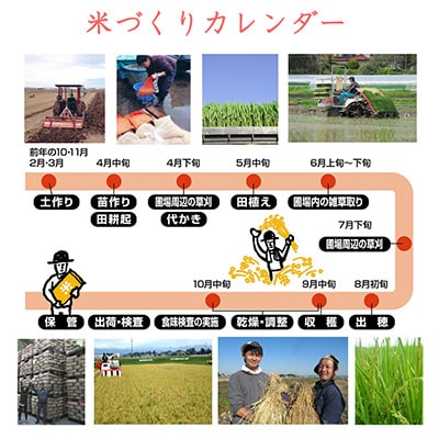 2024年4月発送開始『定期便』宮城県登米市産つや姫(玄米)30kg　全12回【5146898】