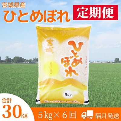 2023年9月発送開始『定期便』宮城県登米市産ひとめぼれ精米5kg(隔月)全6回【5146678】