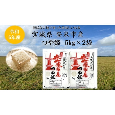 【精米】令和6年宮城県登米市産「つや姫」5kg×2袋 合計10kgセット【1444383】